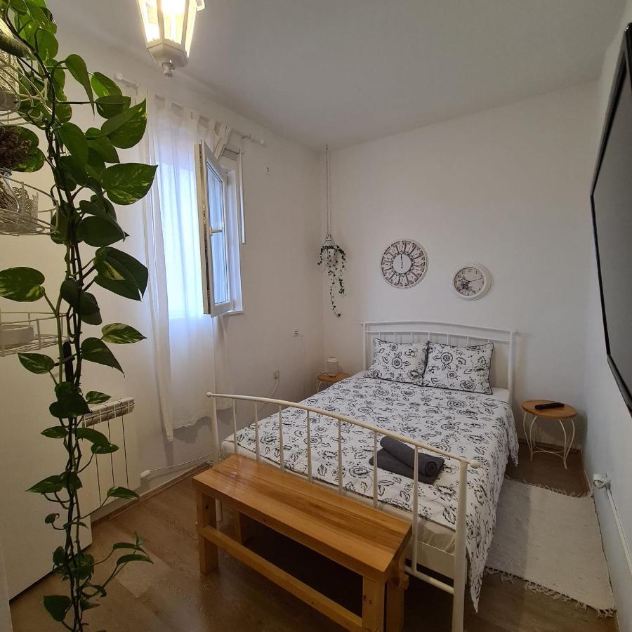 Sobe Divna Hotell Velika Mlaka Eksteriør bilde